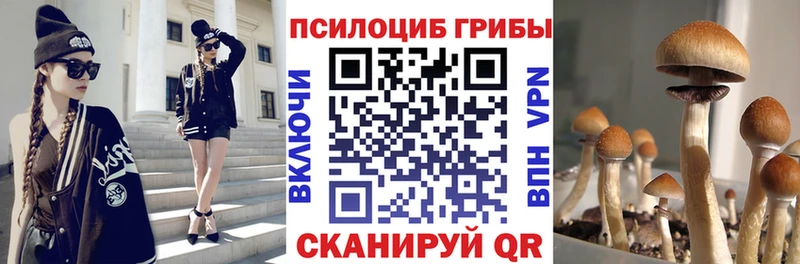 Галлюциногенные грибы MAGIC MUSHROOMS  Купить где  Наволоки 